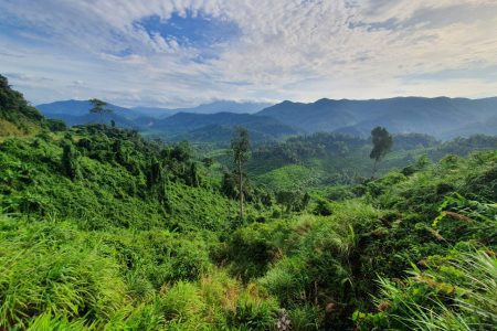 Phong Nha Cave Tour from Hue